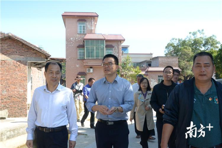 越秀区农业农村局最新项目助力农业现代化与乡村振兴推进