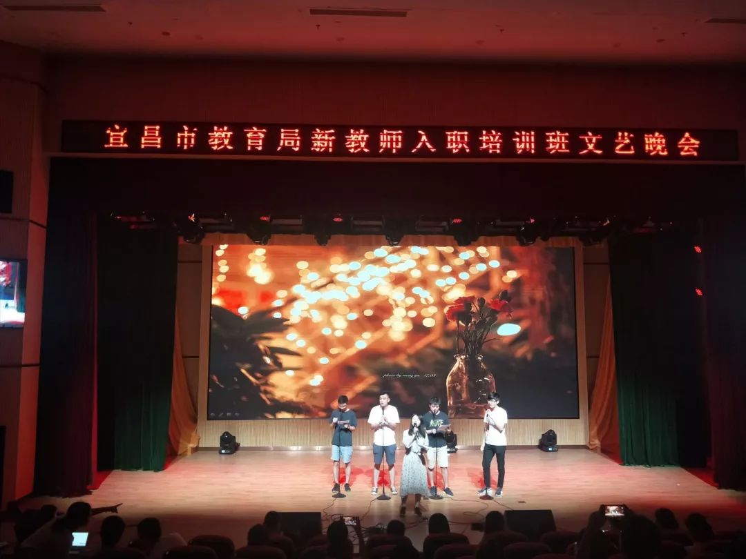 宜昌市市教育局最新招聘信息概览，最新岗位与招聘条件全解析
