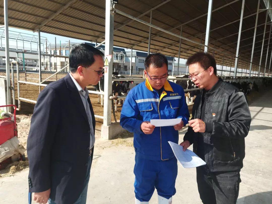 2025年新澳最精准正最精准大全｜标准化流程评估