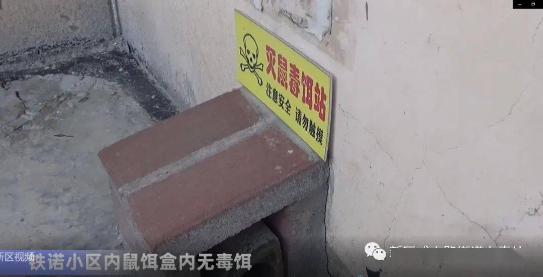 黄梅县公路运输管理事业单位最新项目研究概览