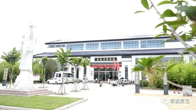 夏邑县图书馆最新项目，推动文化事业发展的强大动力源泉