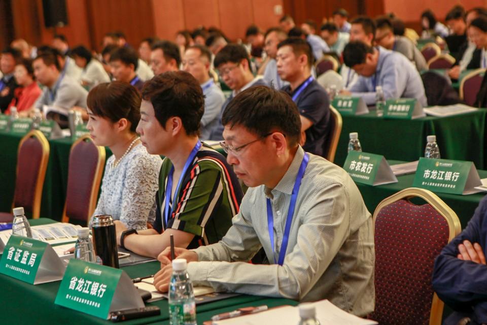 伊春市发展和改革委员会最新新闻动态及分析简报