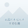 QQ炫舞最新版外挂，游戏辅助背后的道德底线探讨