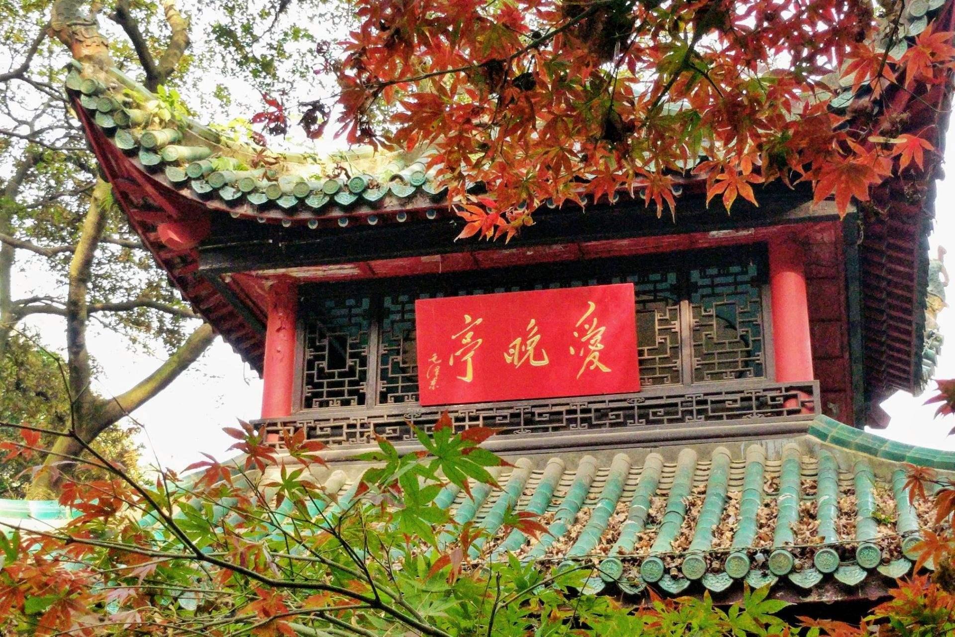 长沙市旅游局最新招聘信息概览，职位、要求与待遇全解析